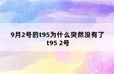 9月2号的t95为什么突然没有了 t95 2号